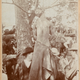 Illustration for article titled Without Sanctuary: Mementos of Lynching